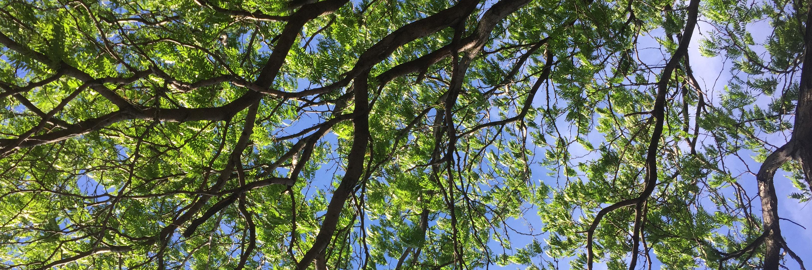 heyconde's profile banner image