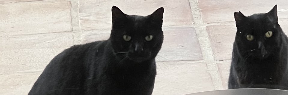 MickBeevers's profile banner image
