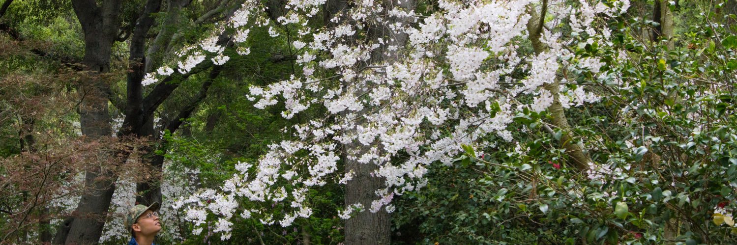 a higher power banner