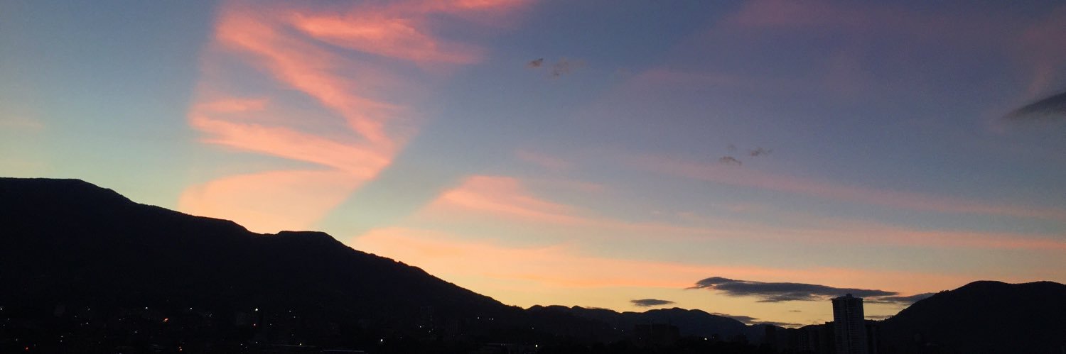 Otto Navarrette banner