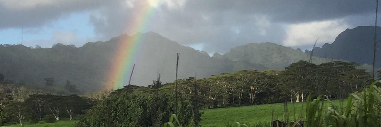 DMrslee's profile banner image