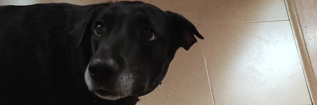 Isabelpedraza_'s profile banner image