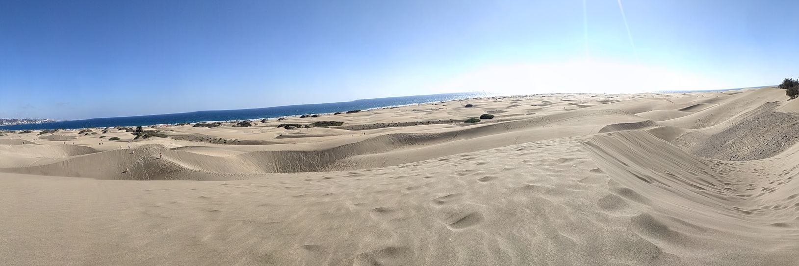 TheAaronMalone's profile banner image