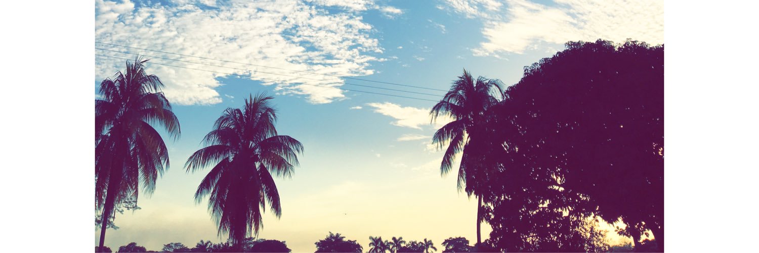 viviCL_'s profile banner image