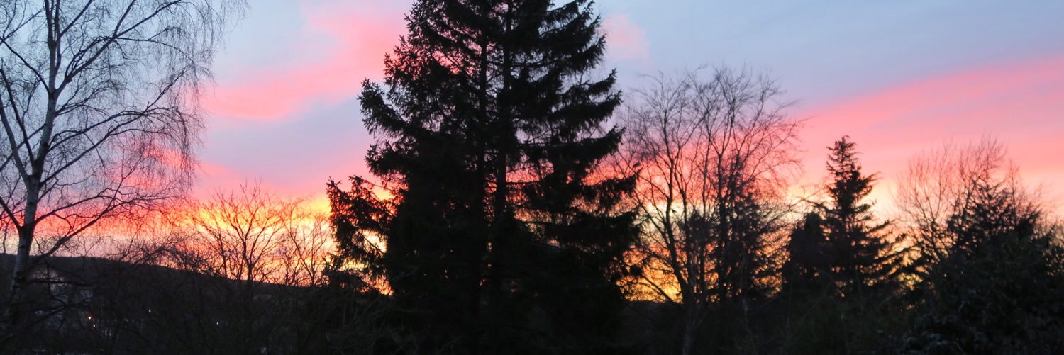 simyuk's profile banner image