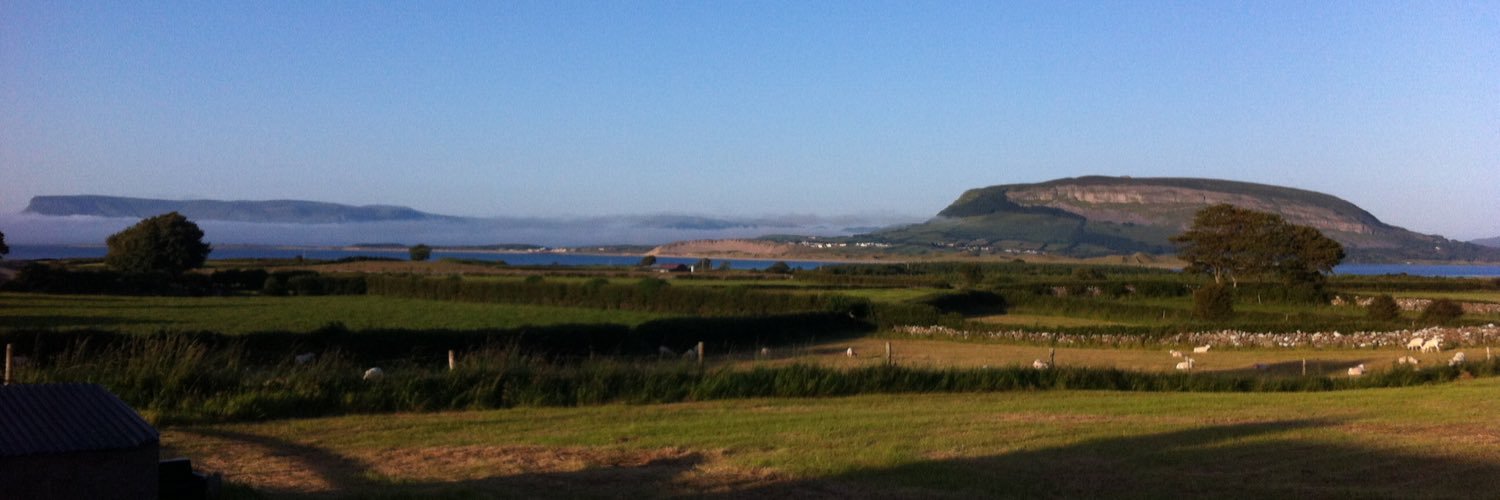 Áine Mitchell banner