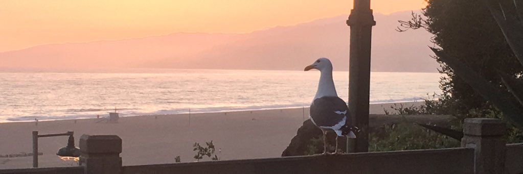nachopin17's profile banner image