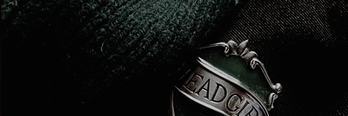 MegaraNott's profile banner image