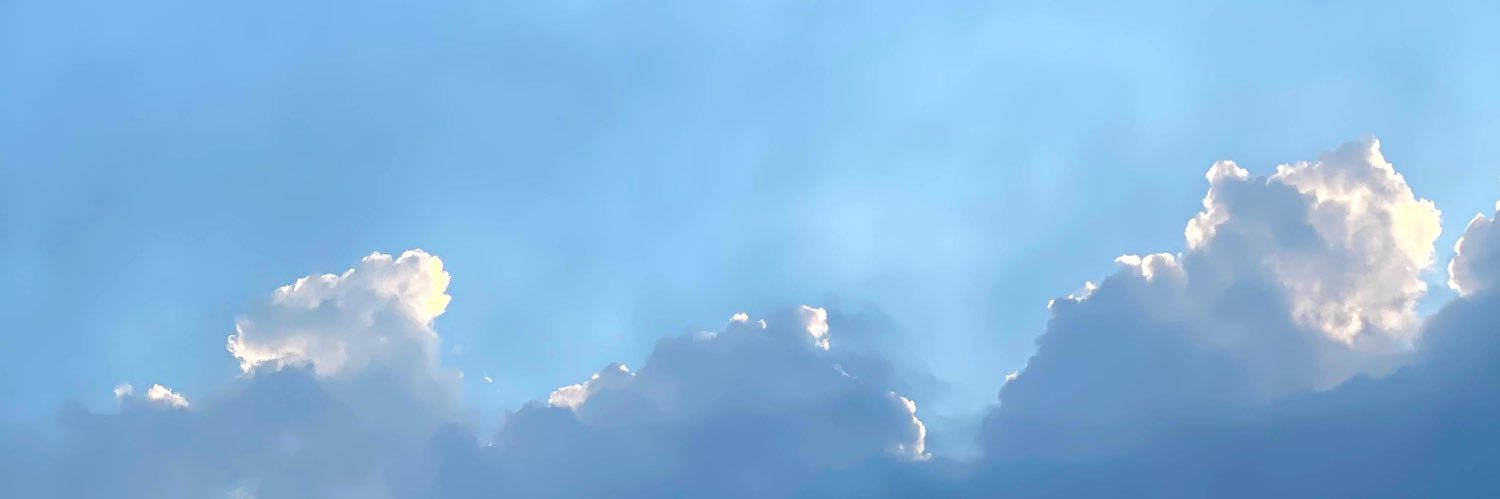 youngtrinisohan's profile banner image