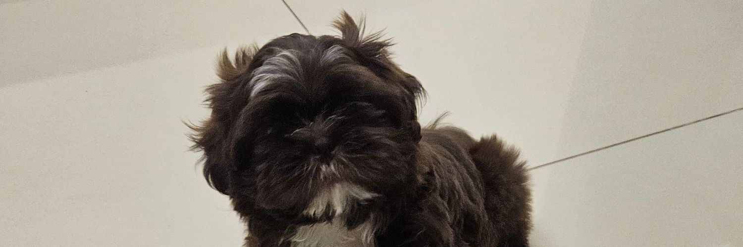 ViiPortela's profile banner image