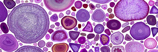 BanjaraAmit1924 Profile Banner