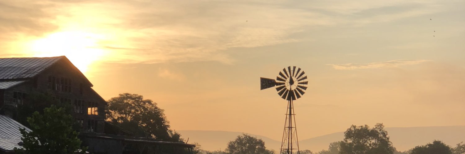 amongold2's profile banner image