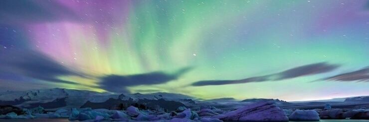 chamsae_WJ's profile banner image