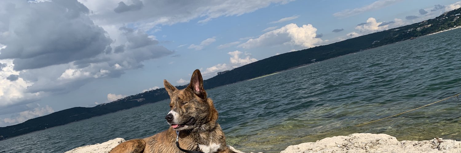 BryannLarsonn's profile banner image