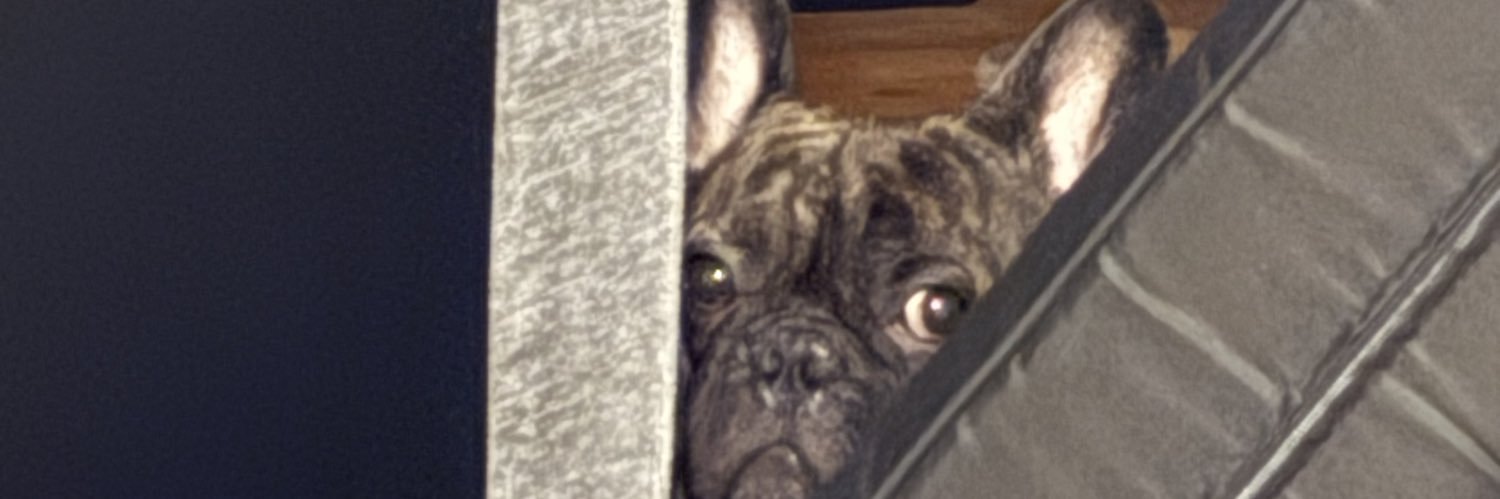 :): banner