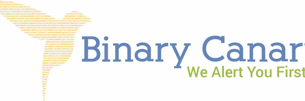 BinaryCanary's profile banner image