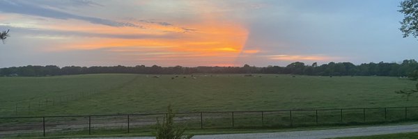 dbfarms2023 Profile Banner