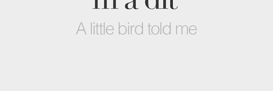 LittleBirdCall's profile banner image