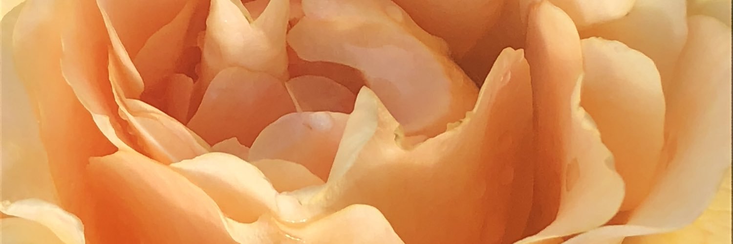 jonanbryn's profile banner image