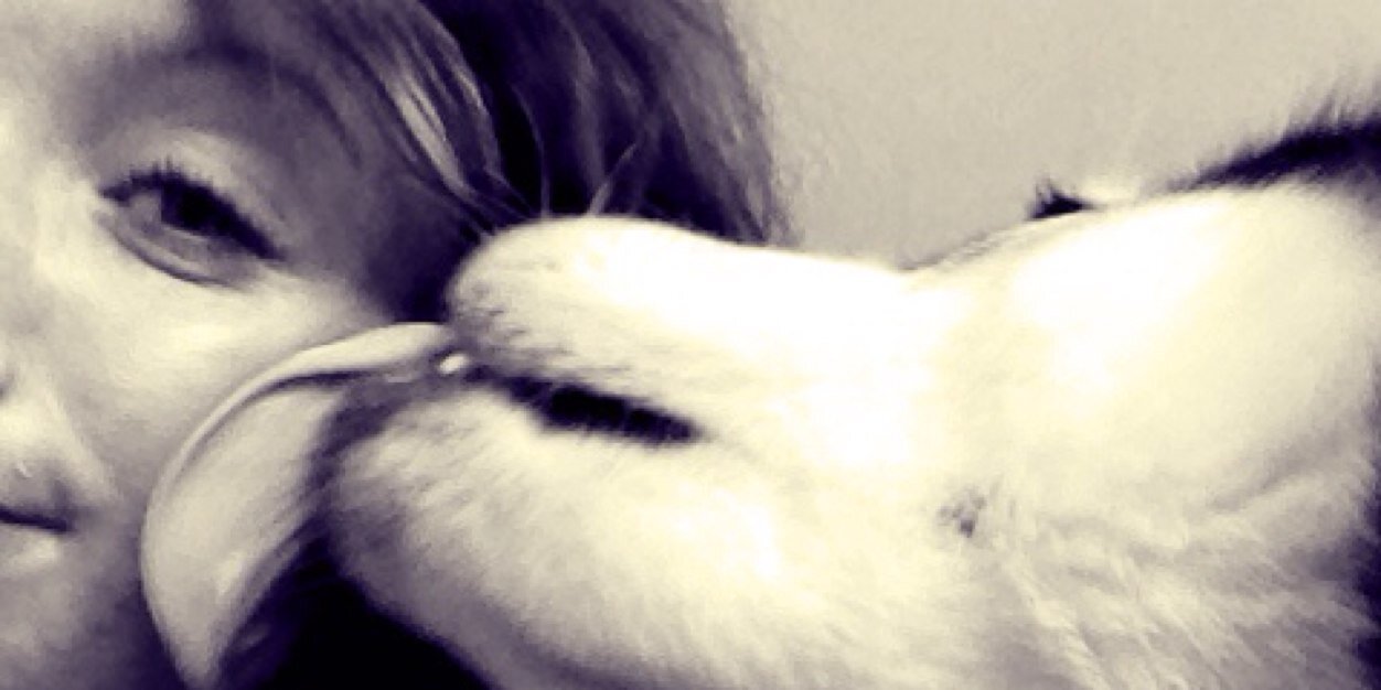 nickikasper's profile banner image