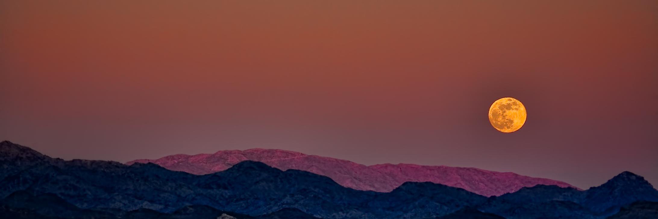 Gentle Werewolf banner