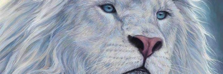 jaafaruaskilu's profile banner image