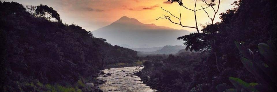 malakan1976's profile banner image