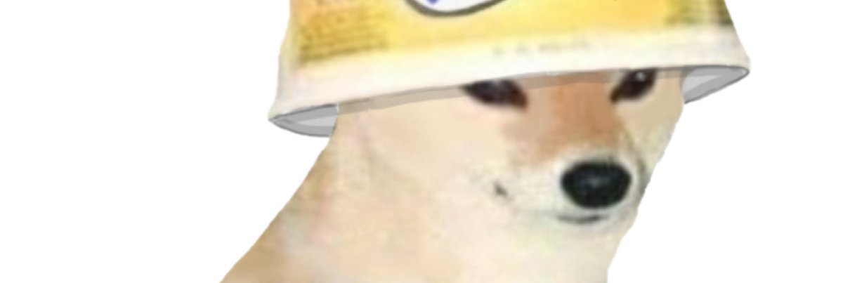 Lokraz131's profile banner image