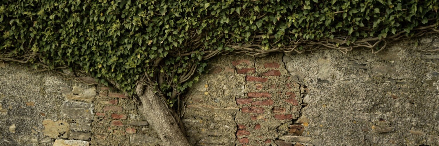 bdan_22's profile banner image