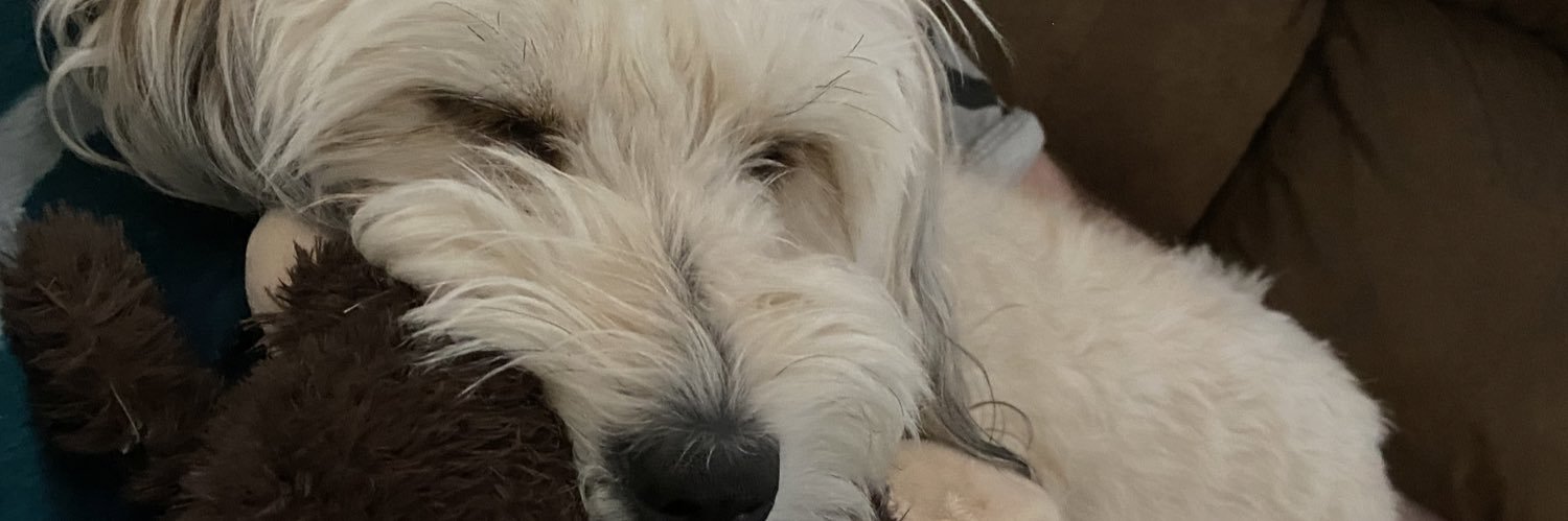 Anthony Capparell banner