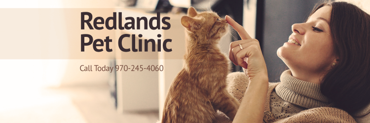 RedlandsPetCl's profile banner image