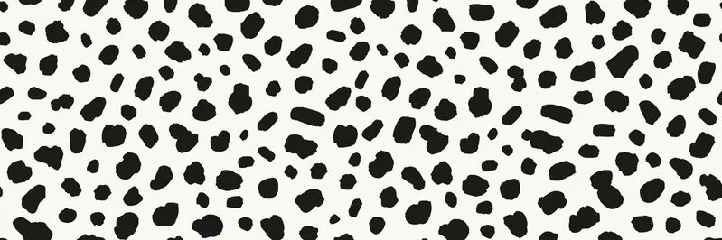 Riley_Lapergola's profile banner image