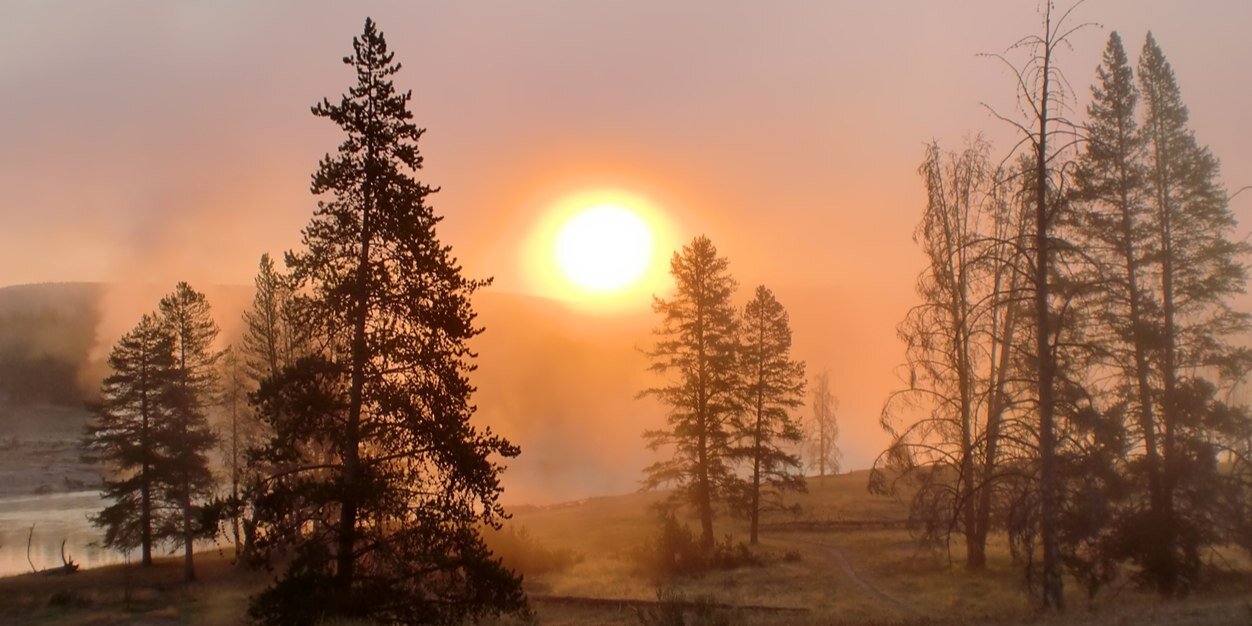 Toria SalisburyScott banner