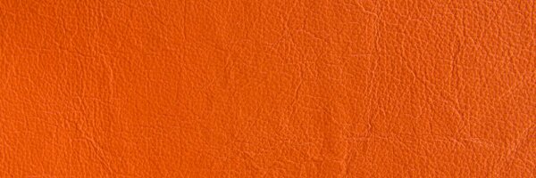 MusiciansUTSym Profile Banner