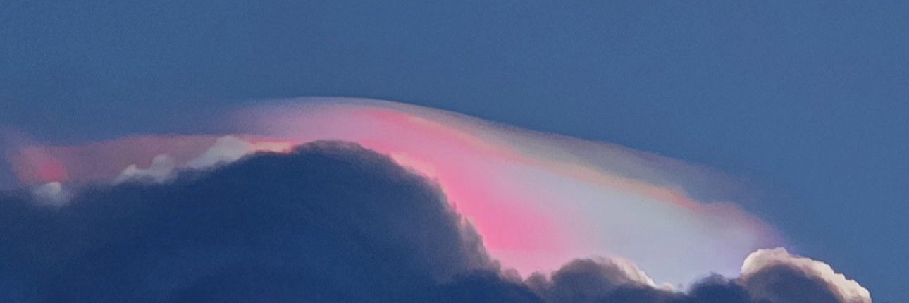 rdrl333's profile banner image