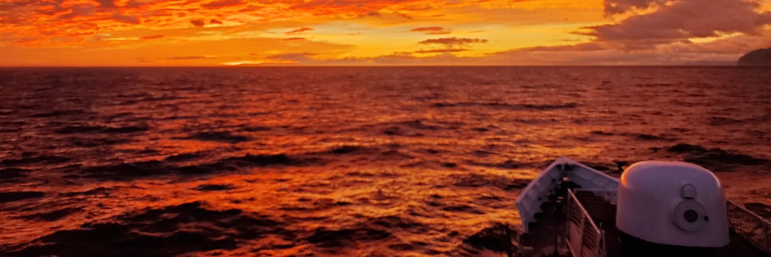 midwesternexile's profile banner image