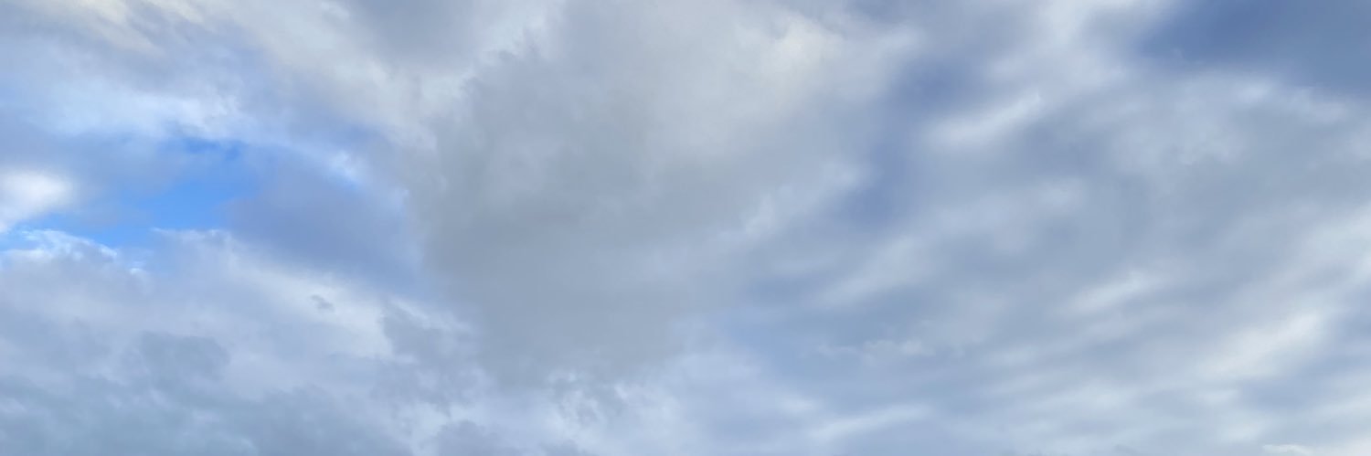 LeidyCalzada's profile banner image