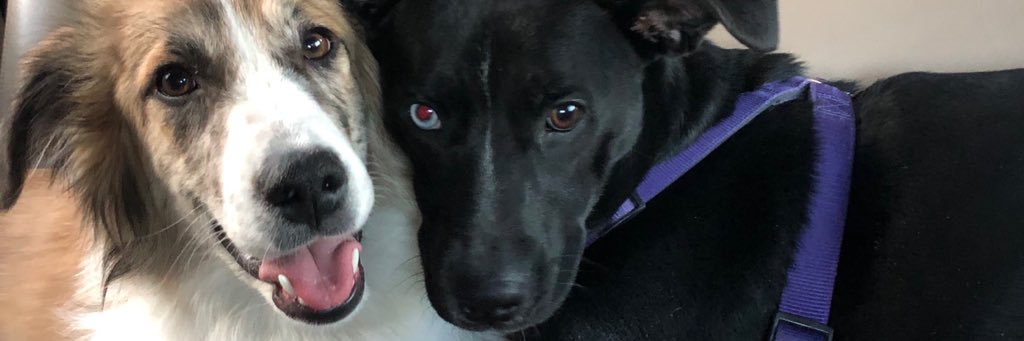 btrav banner