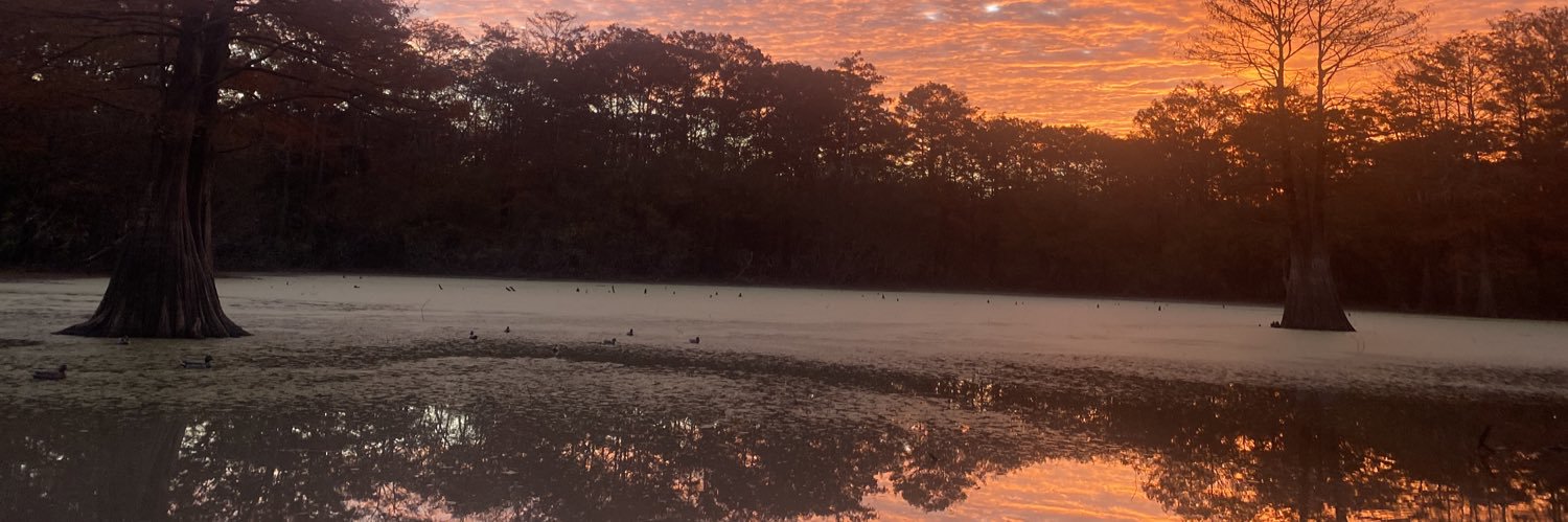 Z1MME's profile banner image