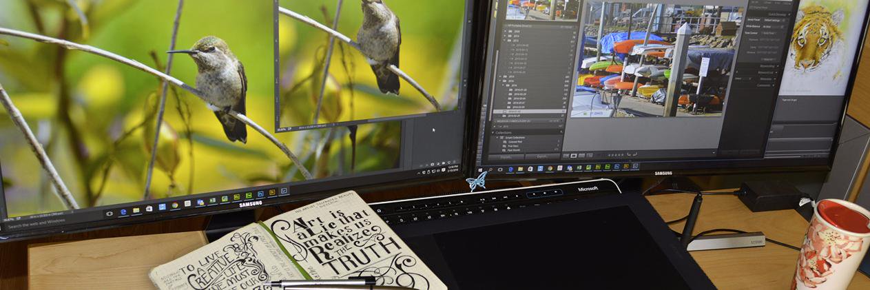 nancybdesign's profile banner image