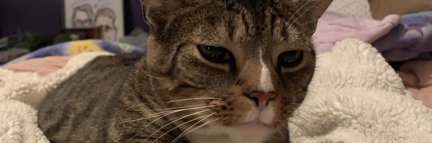 JeniferAyee's profile banner image