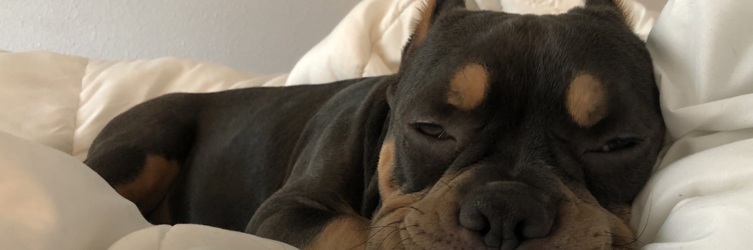 violet_guzman's profile banner image