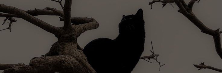 Manusc98_'s profile banner image
