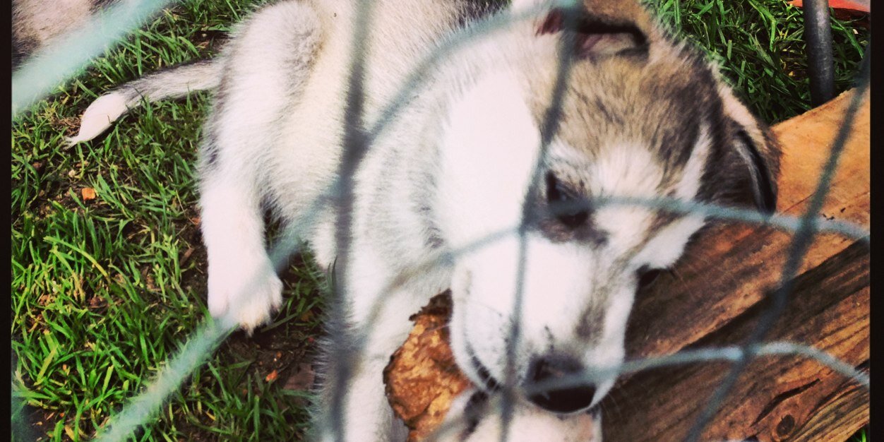 Borut Mackovsek banner