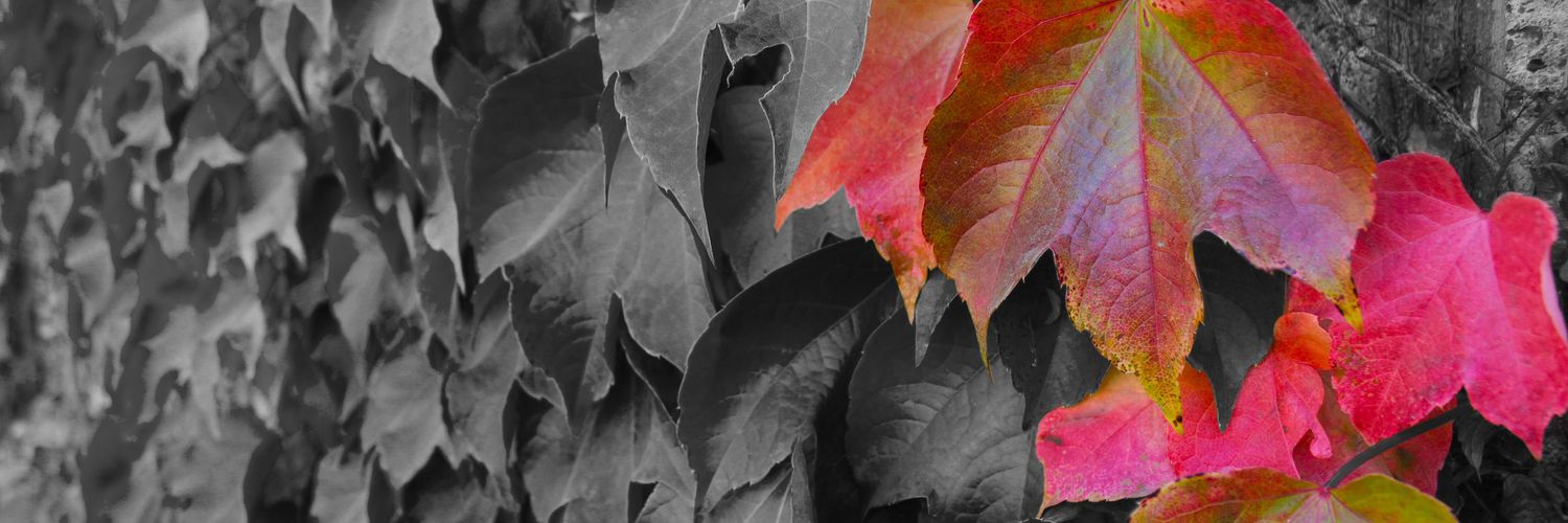 Empire_Fusion's profile banner image
