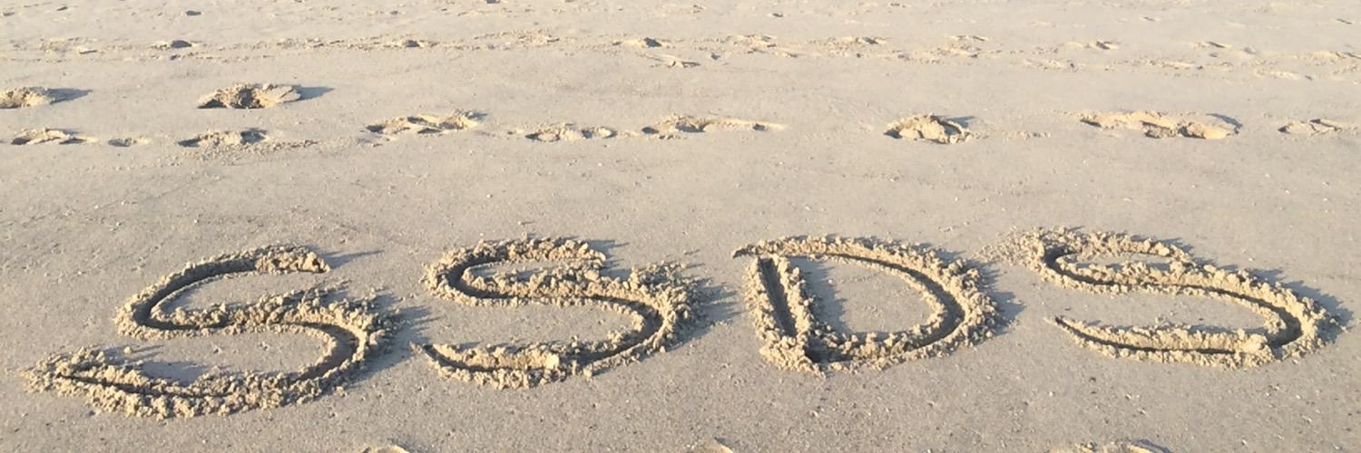 SeeSmthgDoSmthg's profile banner image