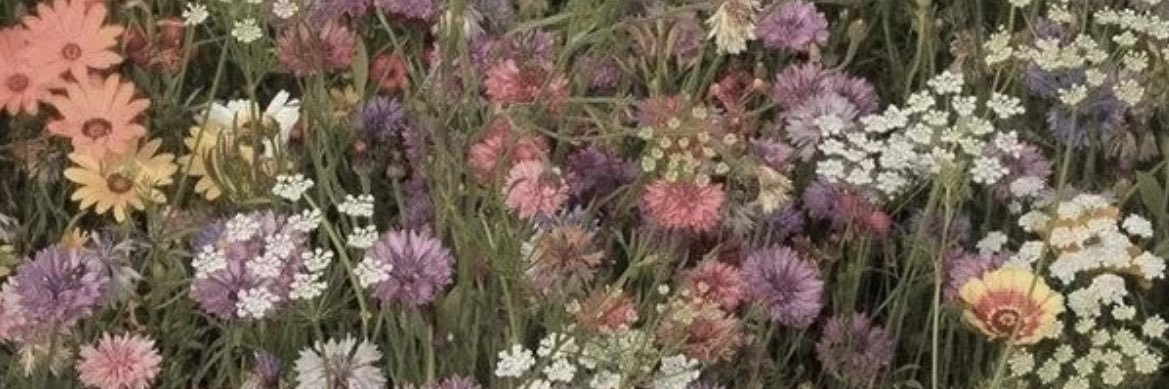 justjaycie's profile banner image