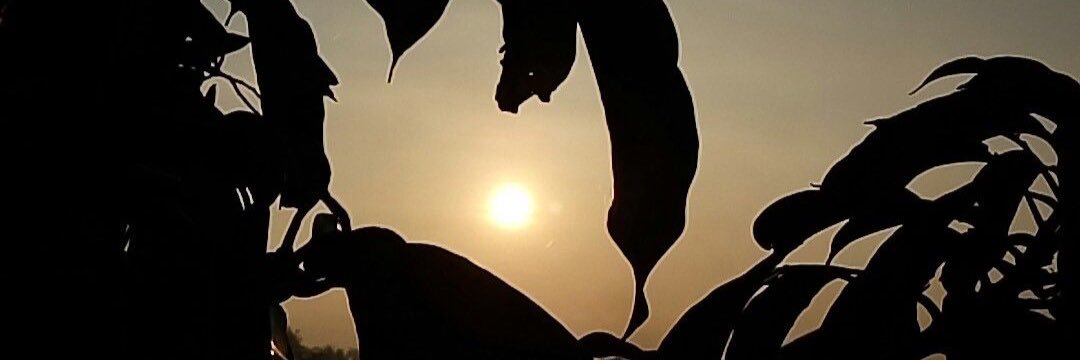 Yo_Uo's profile banner image