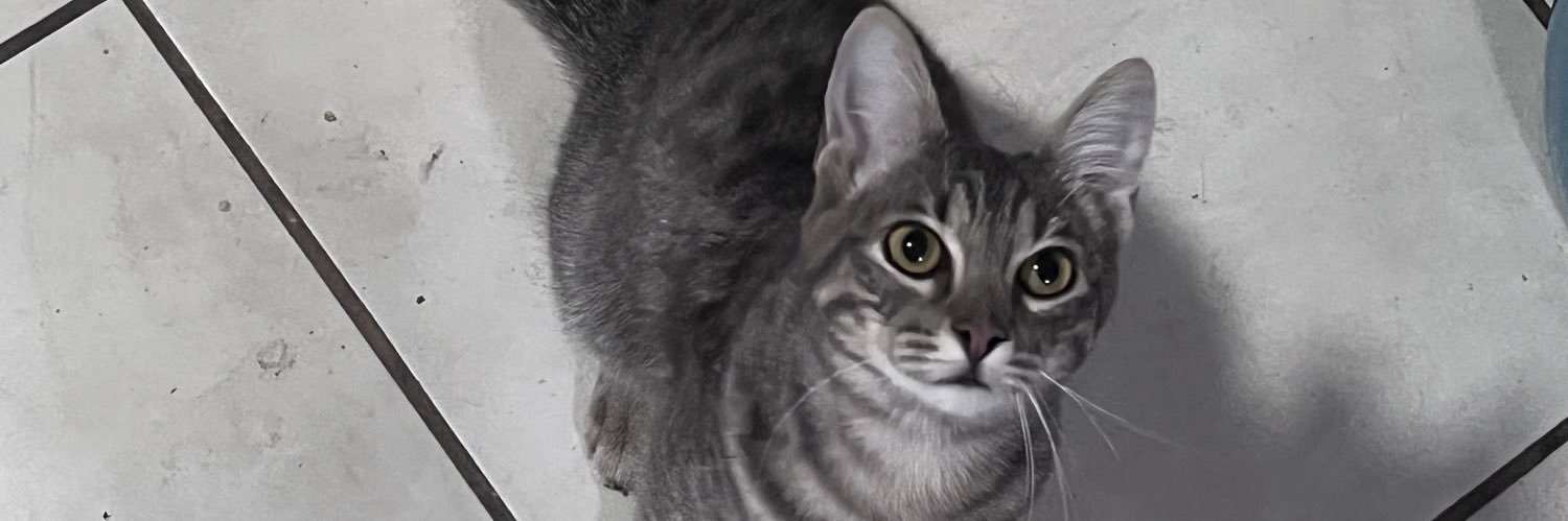 Sebastian Rebollo banner