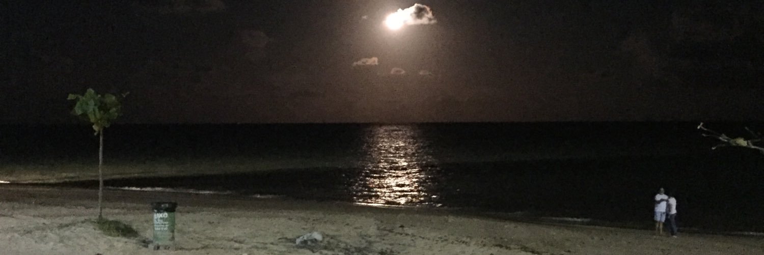 DenylsonBarros's profile banner image